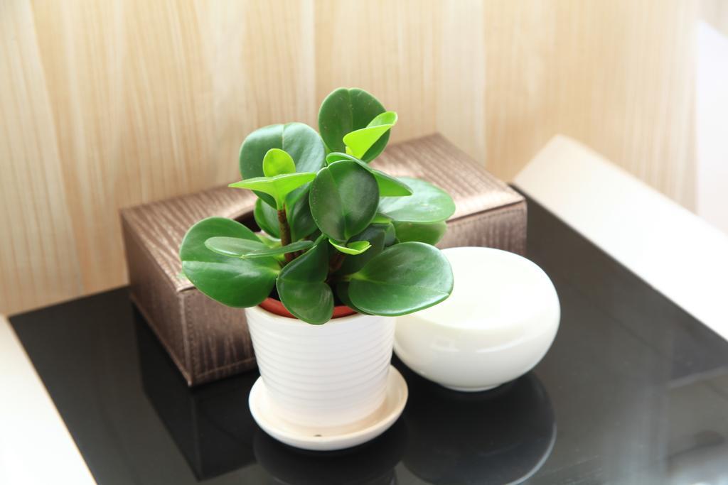 Shang Yuan Hotel Guangzhou Rum bild